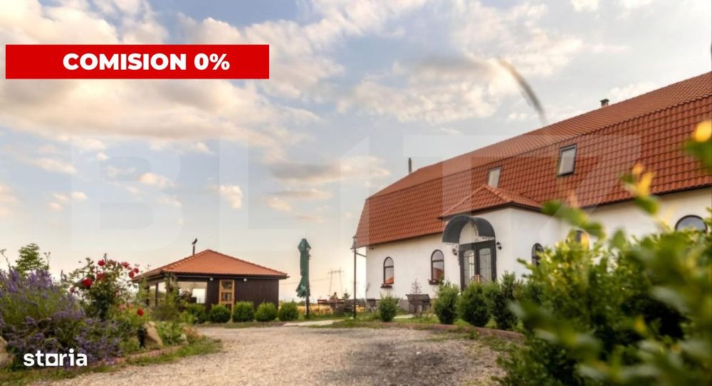 Conac de vanzare 7 camere cu bai proprii, crama, ciubar si potential