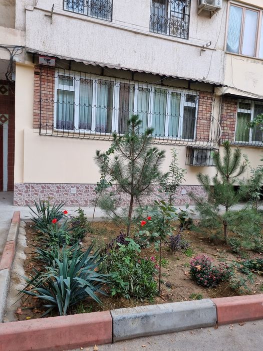 Новомосковский, М. улугбекский р-н. Квартира аренда