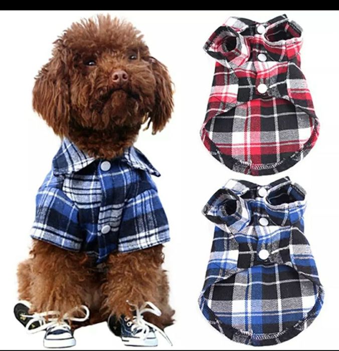 Дрешки / ризки за кучета дребна порода ( йорки)