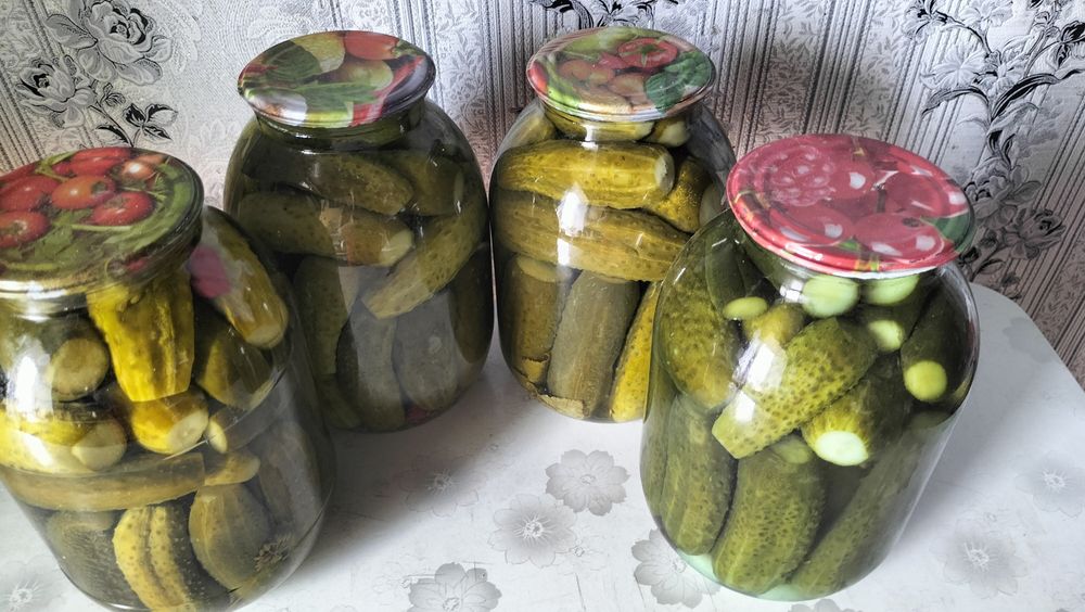 Домашние соленые