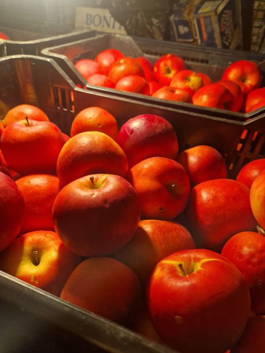 Vand  mere, Golden,  Florina,  Idared, Generos