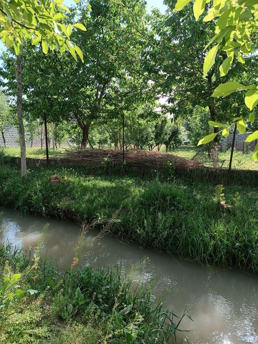 Yer ,Земля Сотилади ,1 сотиги 15,000 доллар