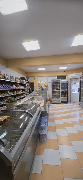 Разработен бизнес и имот в село Първомайци