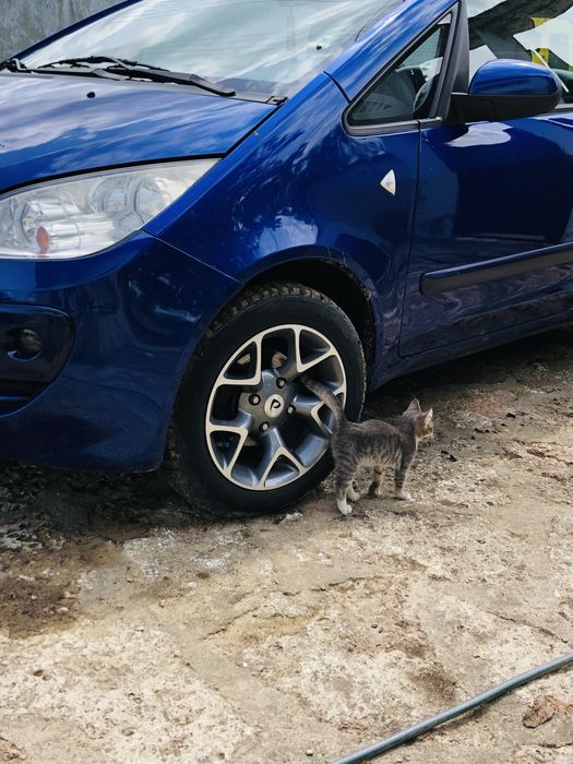 4бр. Джанти R15 4x114,3 със зимни гуми Mitsubishi