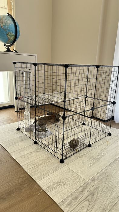 Продам кролика вместе с клеткой