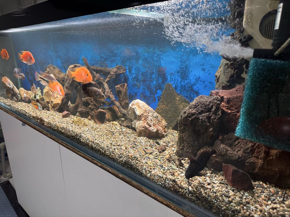 Продаем Аквариум
