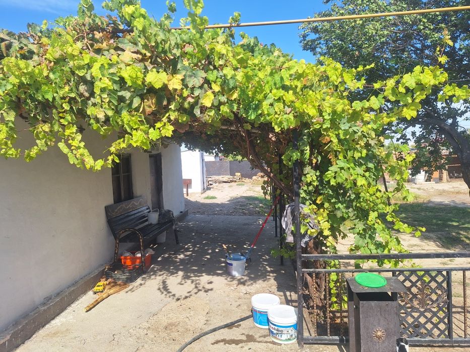 Үй/ Дом/ Жер үй/ саяжай