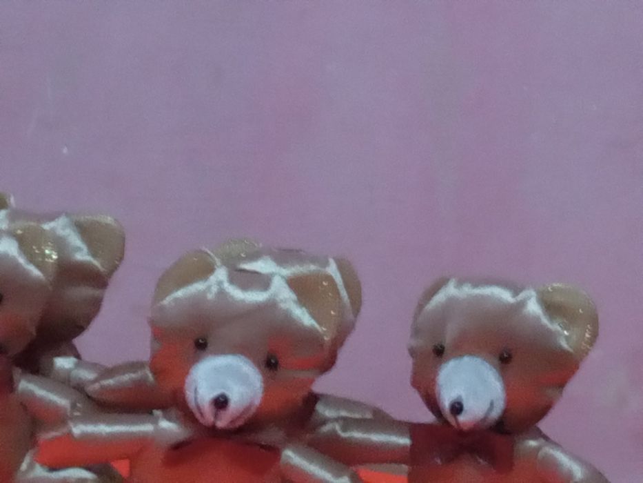 Ayiqcha chiroyli  bo‘yi 18 sm bo‘lgan yoqimtoy ayiqcha