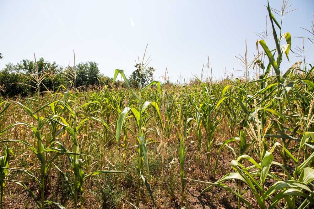 Новопостроена къща с 4 спални с гараж на 10 мин. с кола от Бяла