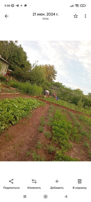 Подам дачу Уралочка