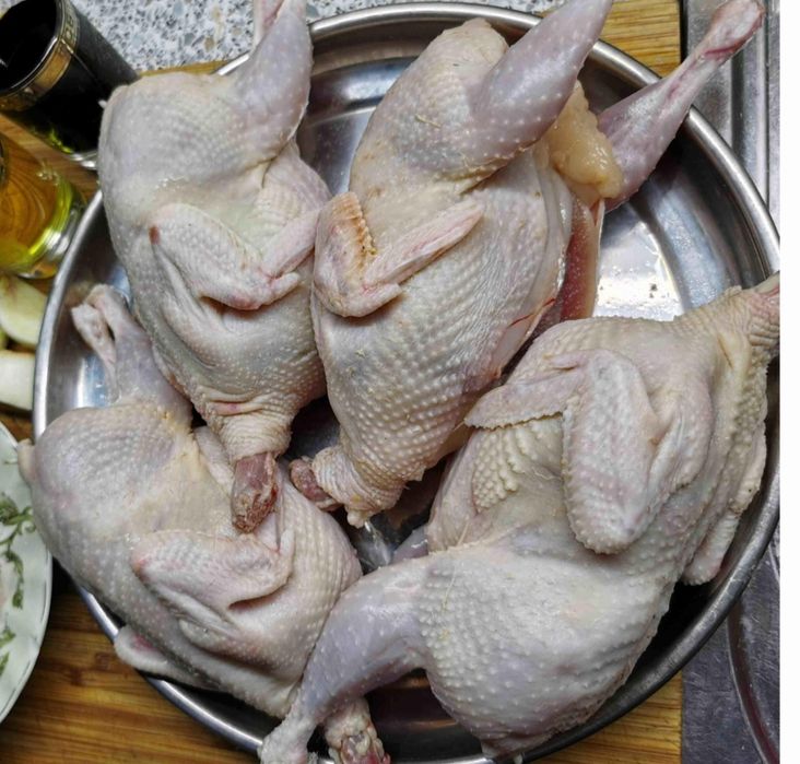 Бөдене. Перепелл