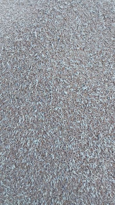 Пшеница для животных и птиц