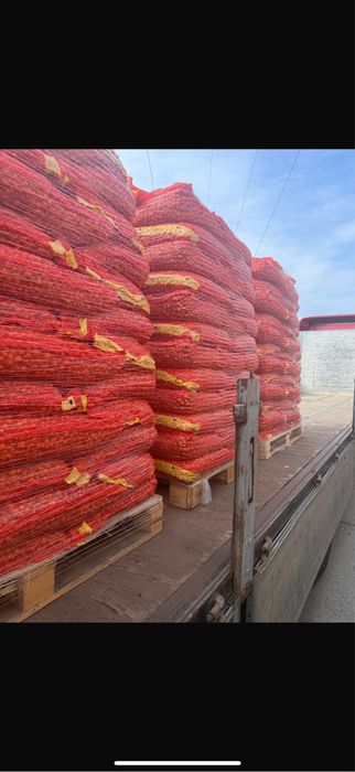 Vand Arpagic Olanda Stuttgarter 14/17 // 14/21 // 10/21