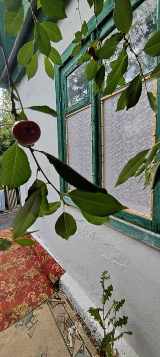 Дача, ПК Автомобилист