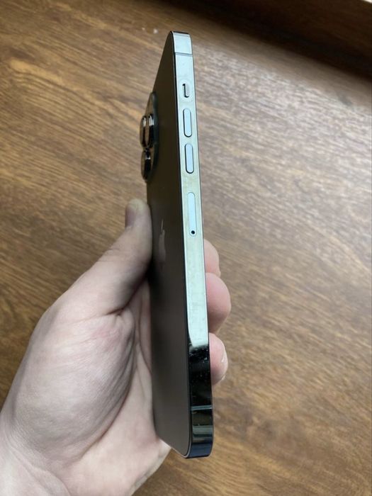 iPhone 13 Pro Max 256 gb 76%