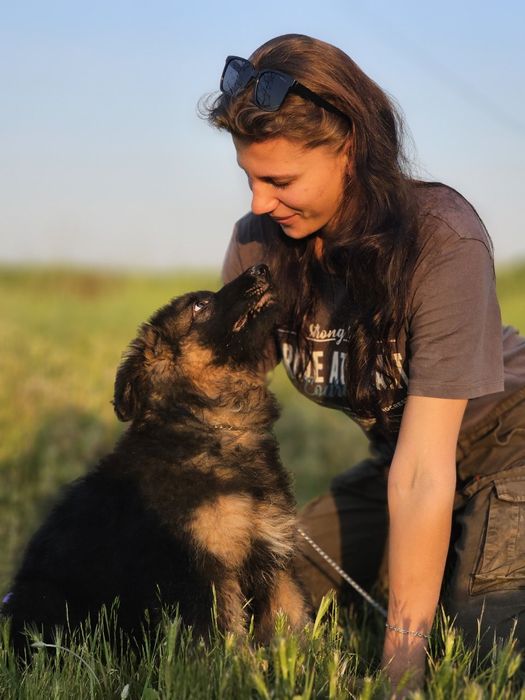 Кинолог ‐ дрессировка собак