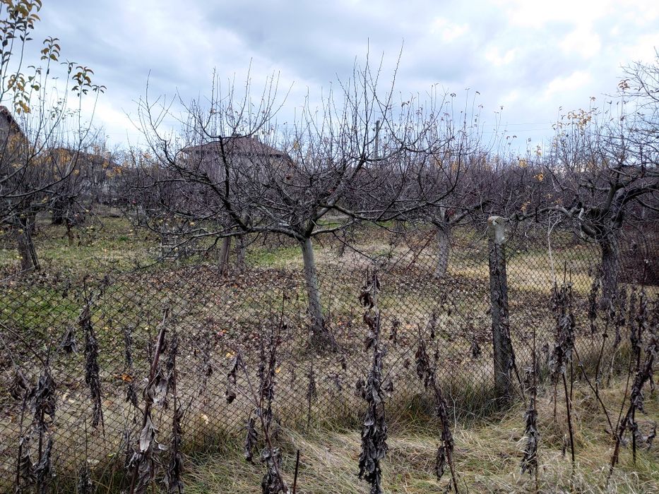 Продава се Парцел в с. Селище, Област Благоевград - 1670 кв.м за 27 €/кв.м - Снимка #7