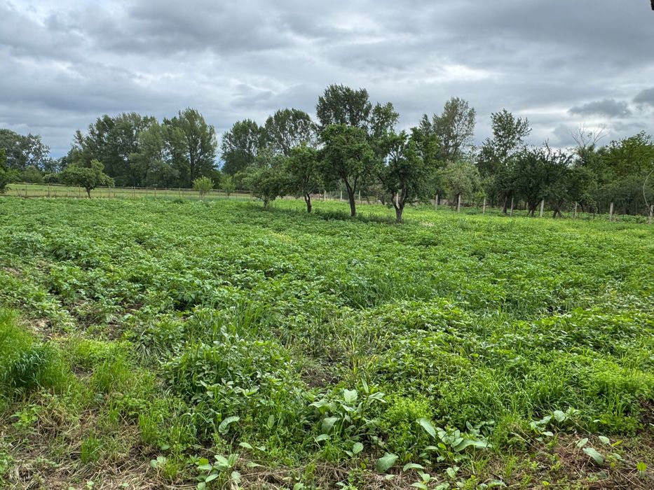 Casă de vânzare în Geoagiu