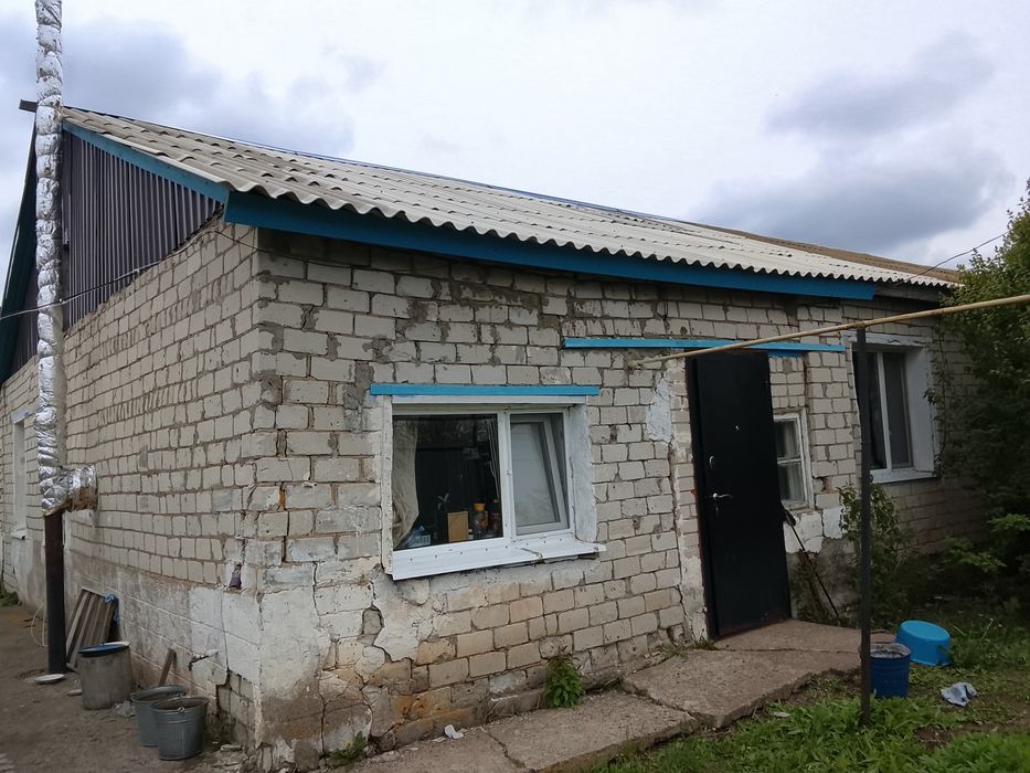 Продам частный дом в пригороде .