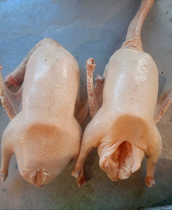 Продам мясо гуся