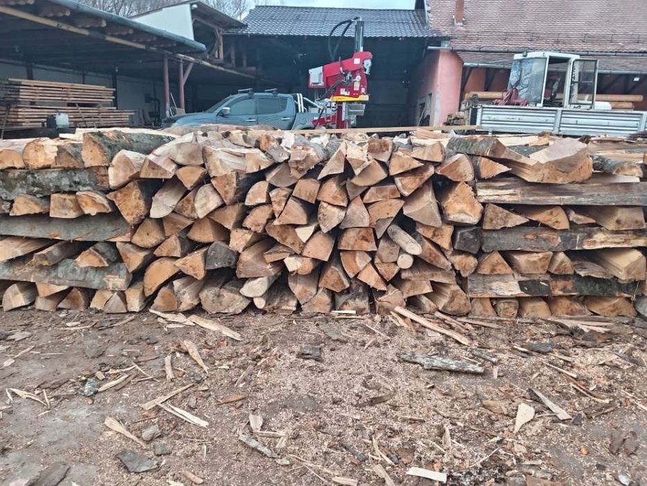 Blane de fag ( lemne de foc ]