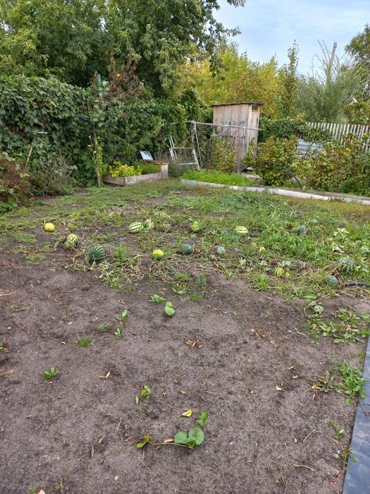 Дача Элеваторщик