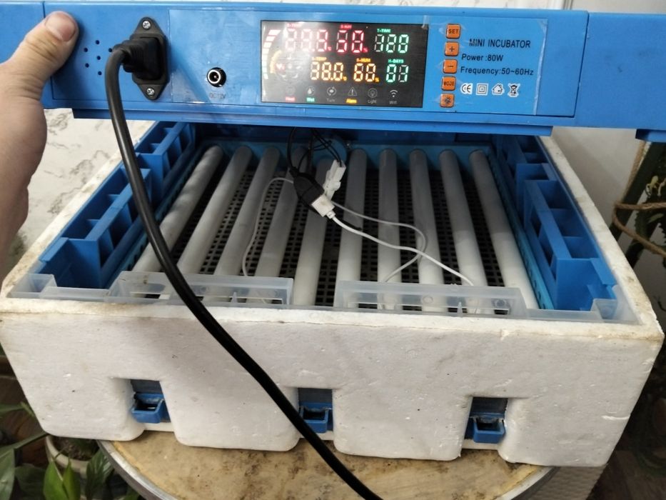 Инкубатор сатылады