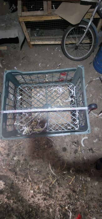 Продам Ящики для всего.