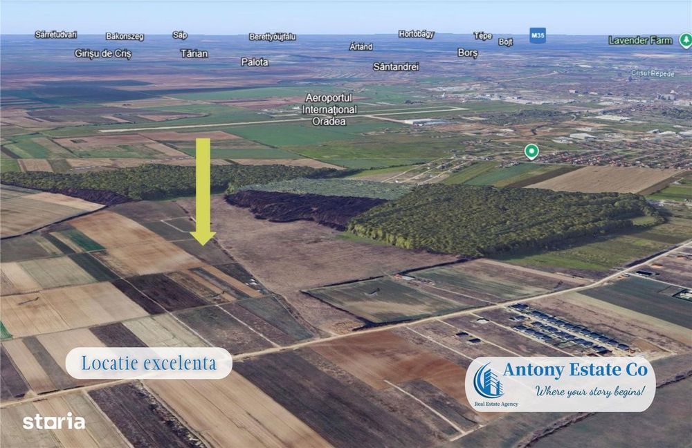 Antony Estate | Oportunitate de investitie - Teren Cihei, langa Padure