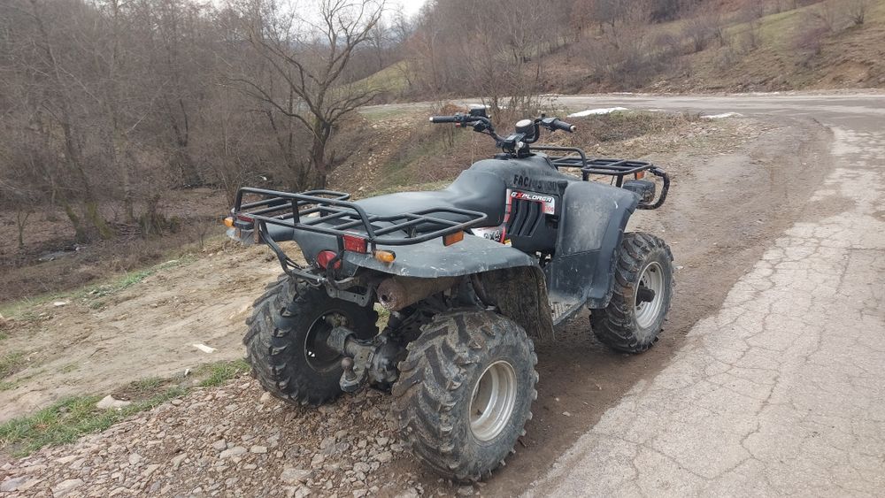 Linhai 300cc 2x4 cu troliu