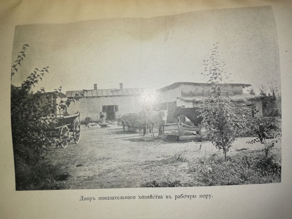 Носков "Хлопковое хозяйство в голодной степи" 1914 г.