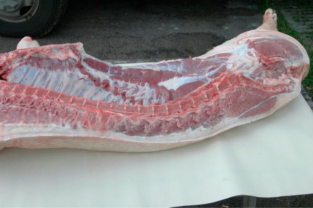 Свинина не дорого