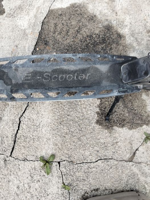 Порода электросамокат