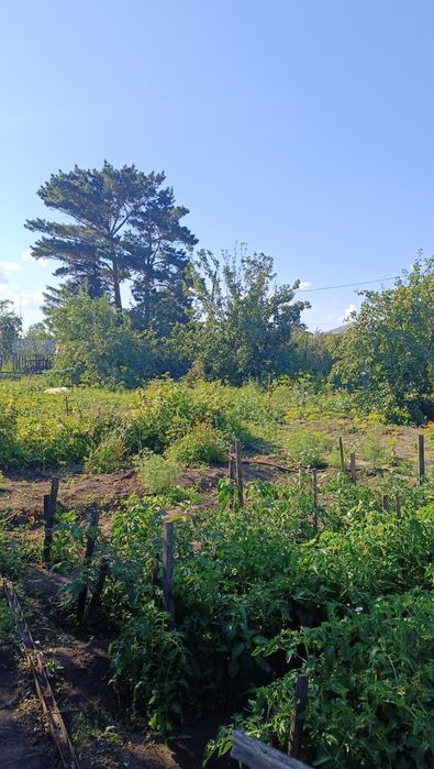 Продам Дачу Со Геолог