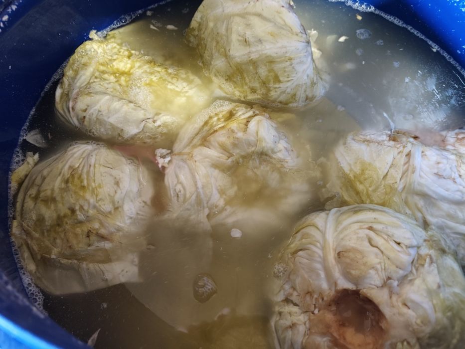 Кисело зеле Кьосе