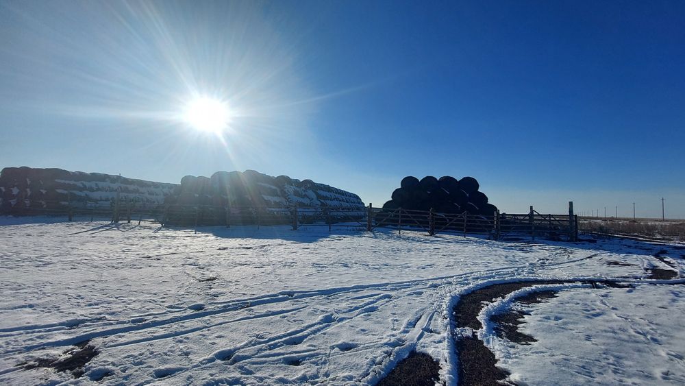 Продам сено тюковое