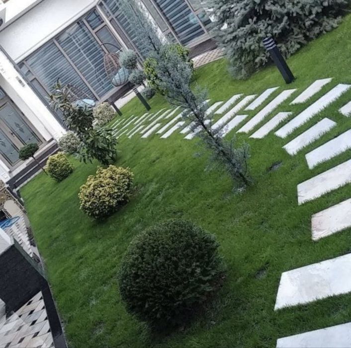 Gazon-посевной рулонновый