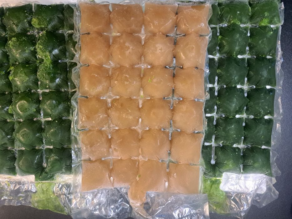 Замороженный сок витграсс (Wheatgrass) — 100% натуральный суперфуд!