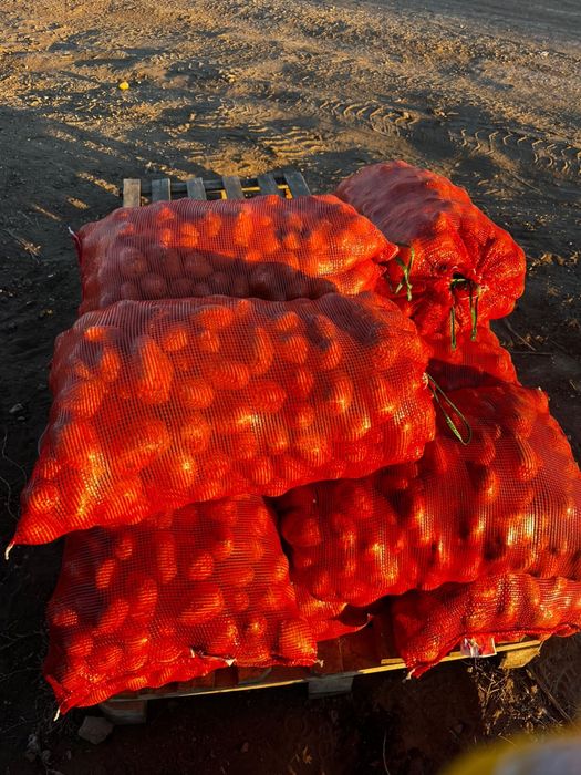 Продам картошку, сорт Гала