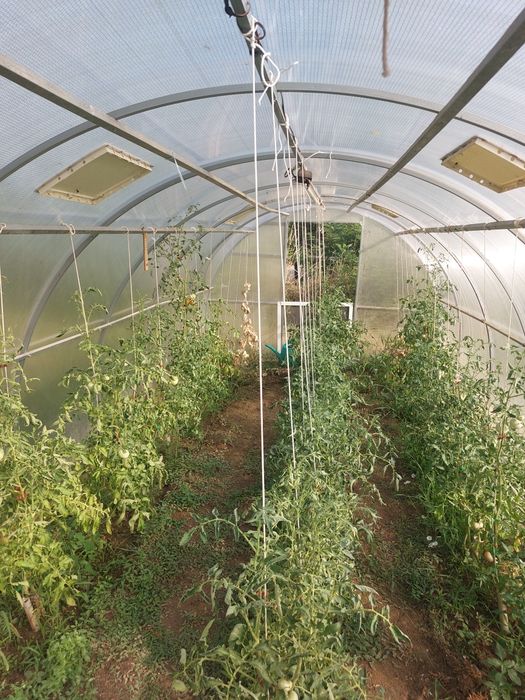 Оранжерия 6х3х2 Приматера