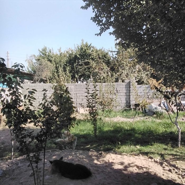 Продается дачный участок, свой, без посредников.