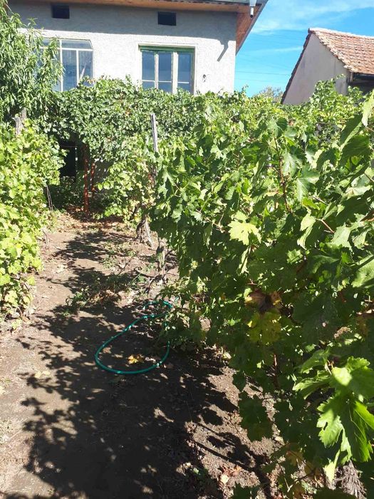 Продава се Къща в Свищов - 44 кв.м за 174 €/кв.м - Снимка #3