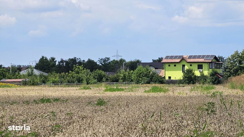 Teren Gulia Tartasesti, padurea Raioasa, investitie premium