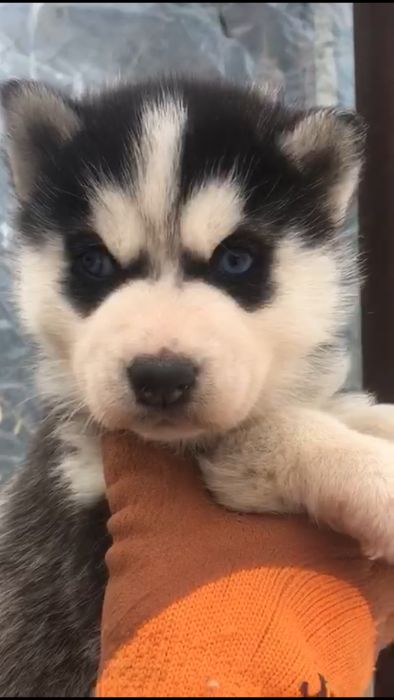 Мальчик красавчик