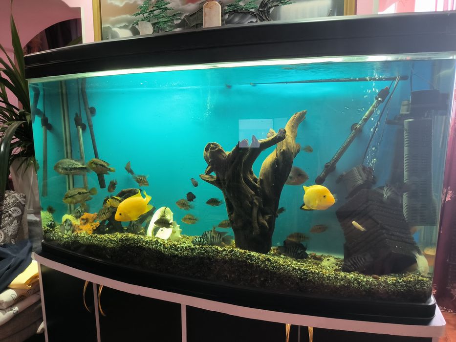 Продам аквариум с рыбками