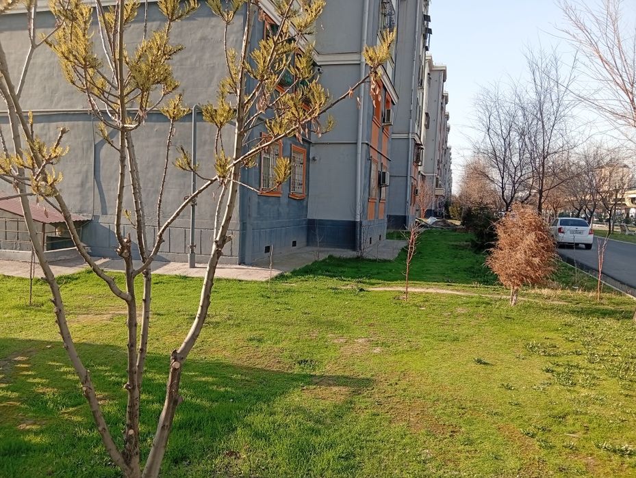 Ikta uy sotiladi tashqariga 5ta derazadi padez tarafga ikta deraza bor