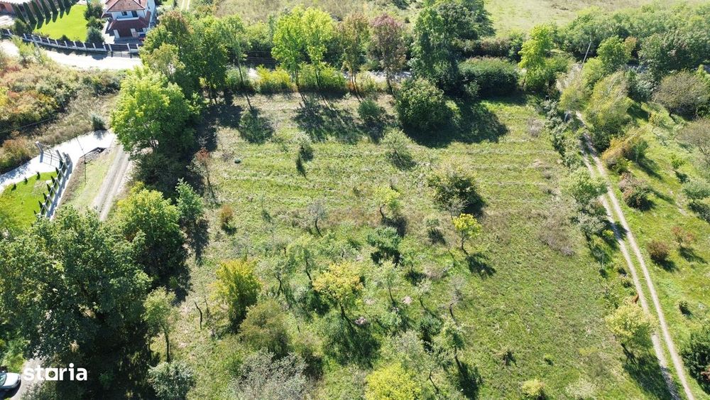 De vanzare Teren Intravilan Viile Satu Mare /Parcelabil/Zona Superba