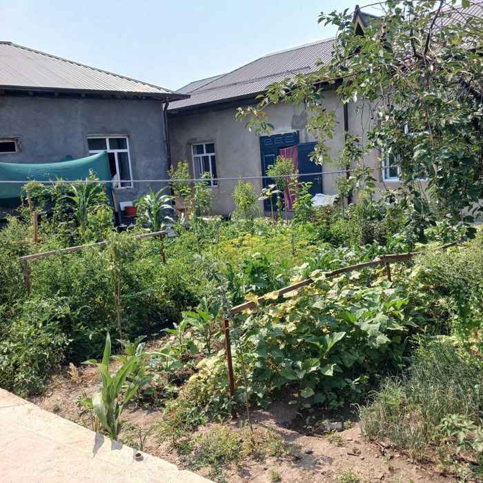 Продаётся 2 дома на 1 участке