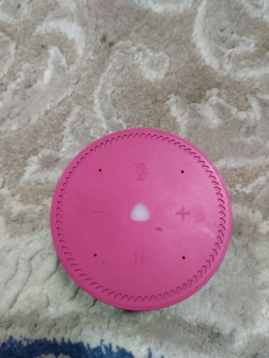 Разговорчивы Алиса