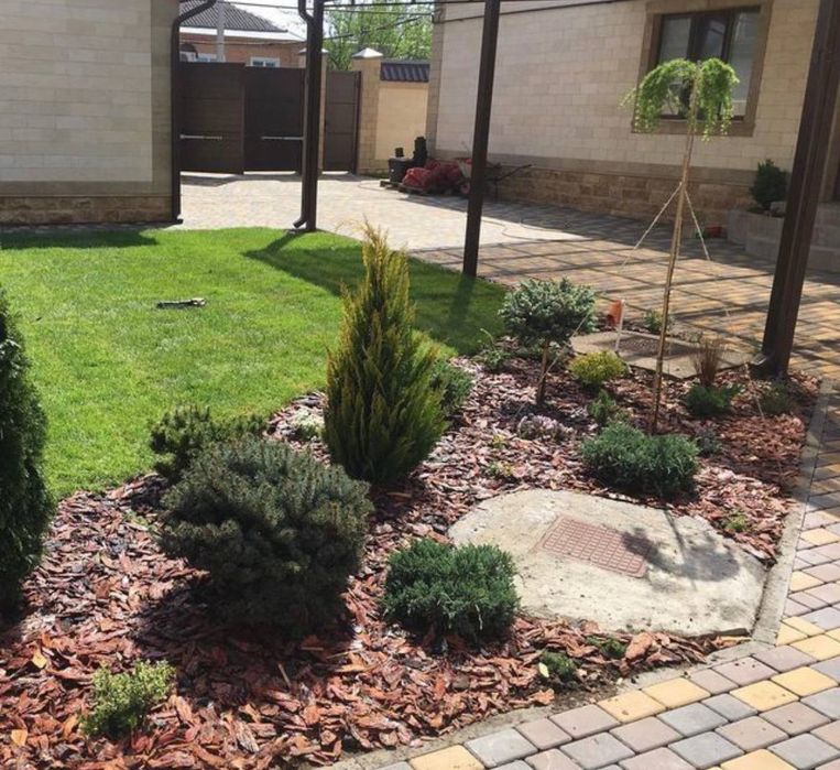 Газон екиш хизмати таййор ва уруґдан